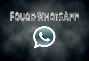 The Pros and Cons of Fouad WhatsApp
